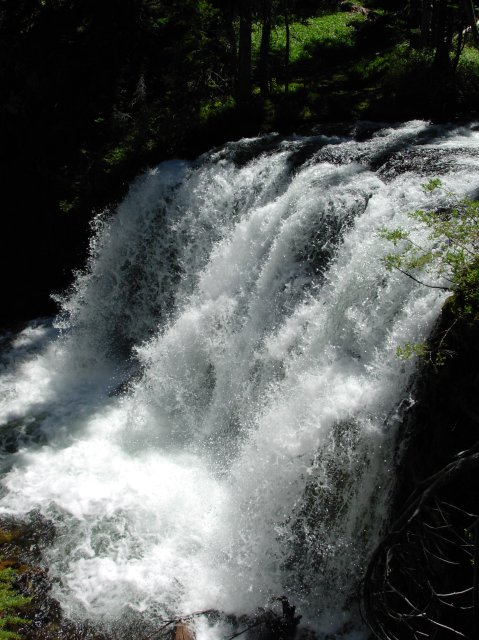 Summer '06 Sunriver 293 